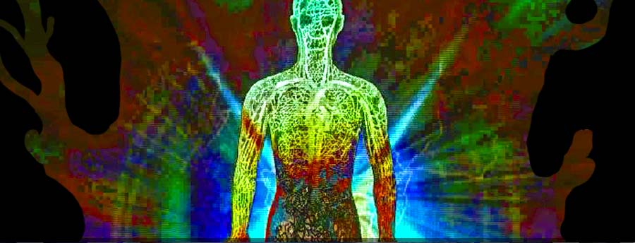 Interflexion 2004 - 05