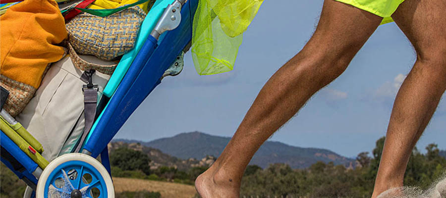 Spezies der Zweibeiner: Fotostudien